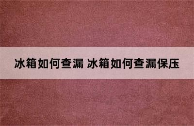 冰箱如何查漏 冰箱如何查漏保压